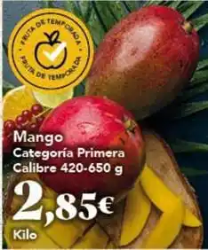 Gadis Tempo - mango categoria primera calibre oferta