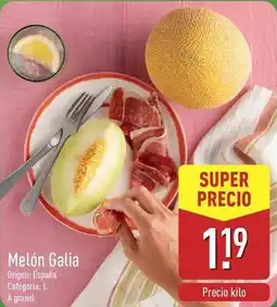 ALDI Melon galia oferta