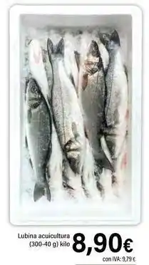 Cash Ifa Lubina acucultura oferta