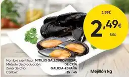 FROIZ Mejillon oferta