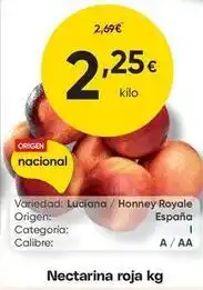 FROIZ Origen - nectarina roja oferta