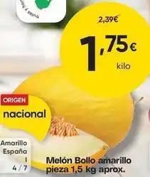 FROIZ Origen - melon amarillo oferta