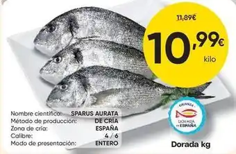 FROIZ Dorada - dorada oferta