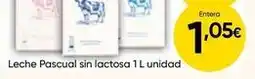 FROIZ Pascual - leche sin lactosa oferta