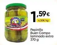 FROIZ Pepinillo buen campo laminado extra oferta