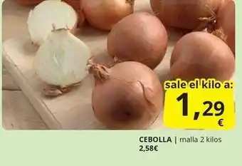 Cebolla