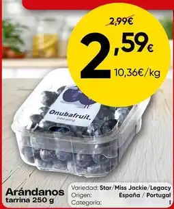 FROIZ Origen - arandanos oferta