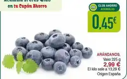 Masymas Origen - arándanos oferta
