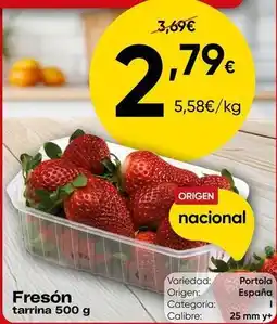 FROIZ Origen - fresón tarrina oferta