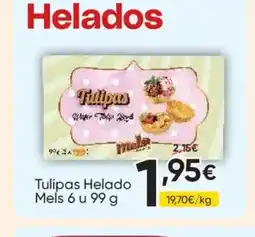FROIZ Tulipas Helado Mels 6 u oferta