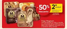 FROIZ MAGNUM Frigo oferta