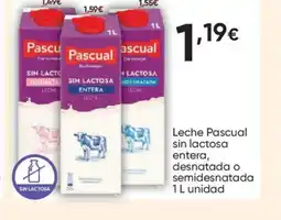 FROIZ PASCUAL Leche sin lactosa entera, desnatada o semidesnatada oferta