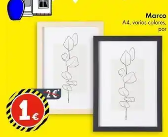 TEDi Marco oferta