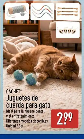 CACHET Juguetes de cuerda para gato