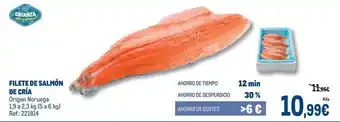 Origen - filete de salmón de cria