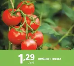 Coviran Tomaquet branca oferta