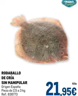 Makro Origen - rodaballo de cría sin manipular oferta