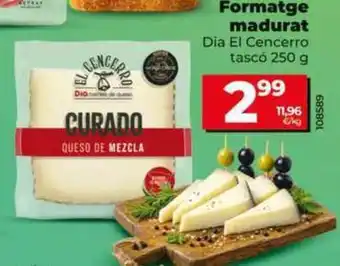 Dia Dia el cencerro - queso curado oferta