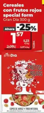Dia Gran dia - cereales con frutos rojos special form oferta