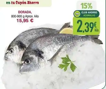 Dorada - dorada