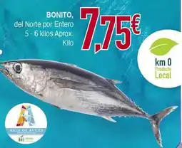 Masymas Del norte - bonito oferta