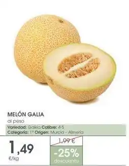 Supermercados Plaza Origen - melón galia oferta