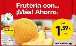 FROIZ Origen - melon oferta