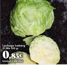Gadis Lechuga iceberg oferta