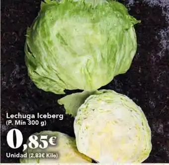 Gadis Lechuga iceberg oferta