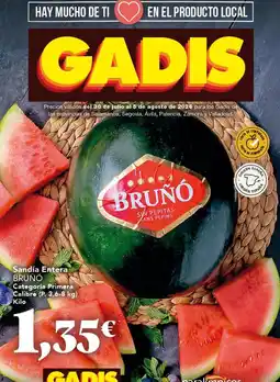Gadis Salamanca - sandía entera oferta
