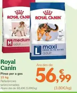 TiendAnimal Royal canin - pienso para perro oferta