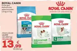 Kiwoko Royal canin - pienso perro oferta