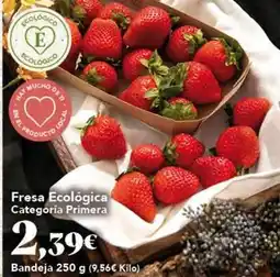 Gadis Fresa ecologica oferta
