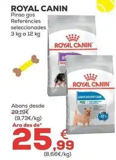Kiwoko Royal canin - pienso perro referencias seleccionadas oferta