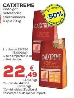 Kiwoko Catxtreme - pienso gato oferta