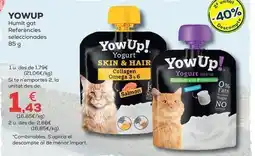 Kiwoko Yowup - humedo gato referencias seleccionadas oferta