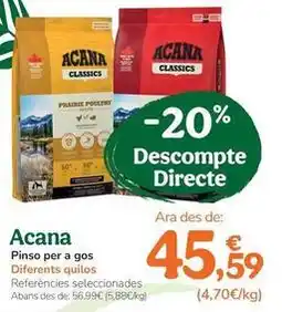 TiendAnimal Acana - pienso para perro oferta