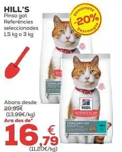 Kiwoko Hill's - pienso gato oferta