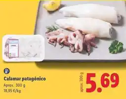 Lidl Calamar patagónico oferta