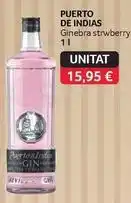 GM Cash & Carry Puerto de indias - ginebra struberry oferta