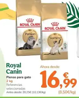 TiendAnimal ROYAL CANIN Pienso para gato oferta