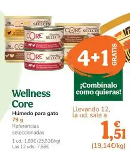 TiendAnimal WELLNESS CORE Húmedo para gato oferta