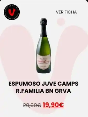 Vinalium Bel - espumoso juve camps familia bn oferta