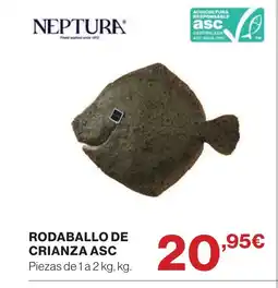 Supercor Rodaballo de crianza asc oferta