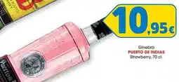 TOP Cash & Carry Puerto de indias - ginebra strawberry oferta