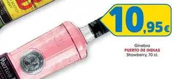 TOP Cash & Carry Puerto de indias - ginebra strawberry oferta