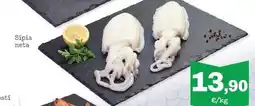 Sorli Sipia oferta