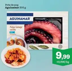 Sorli Aguinamar - pota de pop oferta