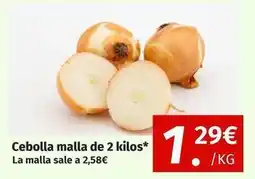 Maskom Supermercados Cebolla malla de 2 kilos oferta