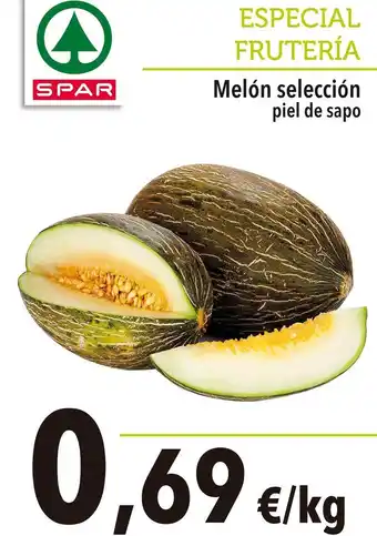 Spar - melon seleccion piel de sapo